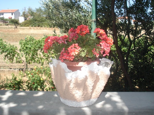 moji pitari